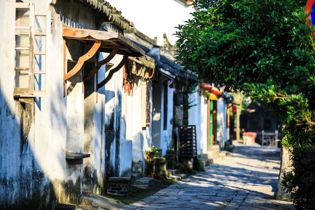 燃烧吧大脑装瓶子游戏